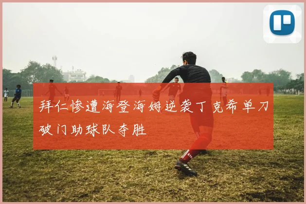 拜仁惨遭海登海姆逆袭丁克希单刀破门助球队夺胜