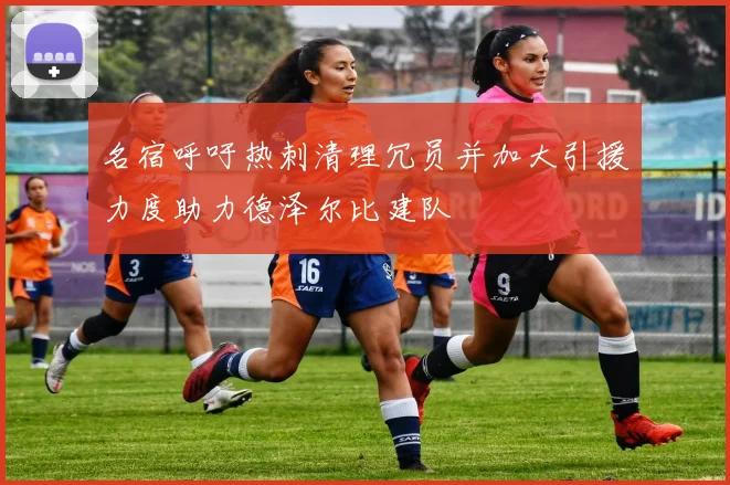 名宿呼吁热刺清理冗员并加大引援力度助力德泽尔比建队