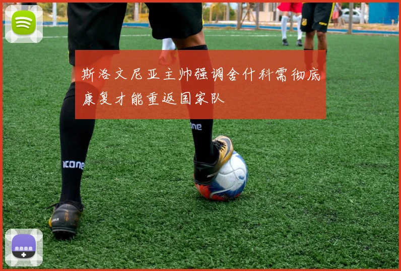 斯洛文尼亚主帅强调舍什科需彻底康复才能重返国家队